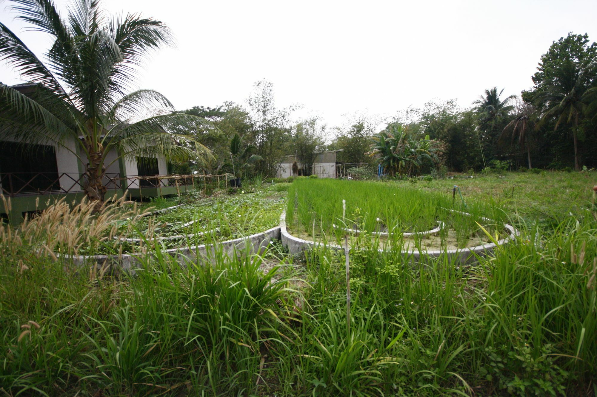 Long Lake Resort Chonburi Exterior photo